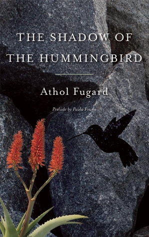 The Shadow of the Hummingbird meditates on the beauty and transience of the world around us